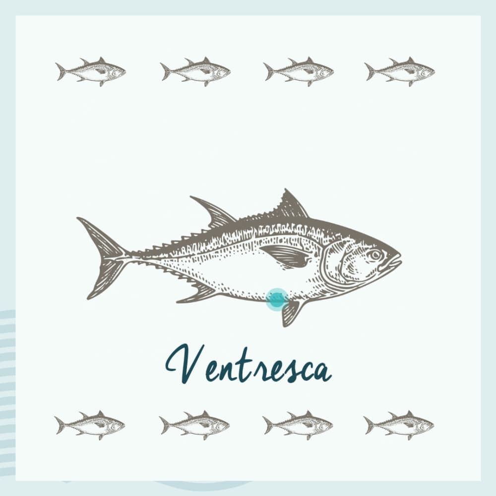 Thunfischbauch 120g in Olivenöl - Conservas de Tarifa