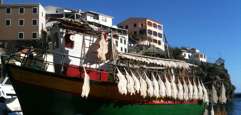 Bacalhau - Stockfisch