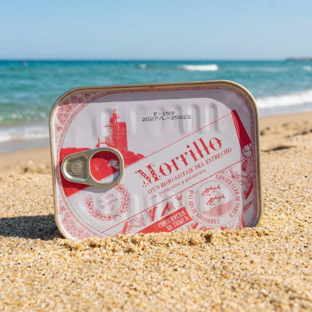 Morrillo vom wilden roten Thunfisch aus Tarifa in Olivenöl