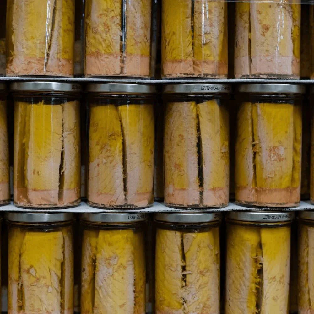Thunfischfilets in reinem Olivenöl im Glas