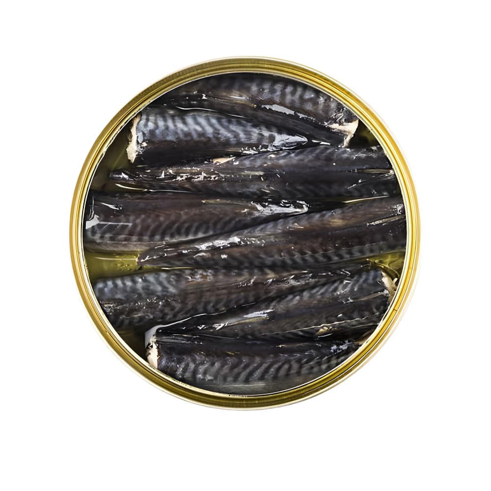 Caballita en Aceite de Oliva (Kleine Makrelen)