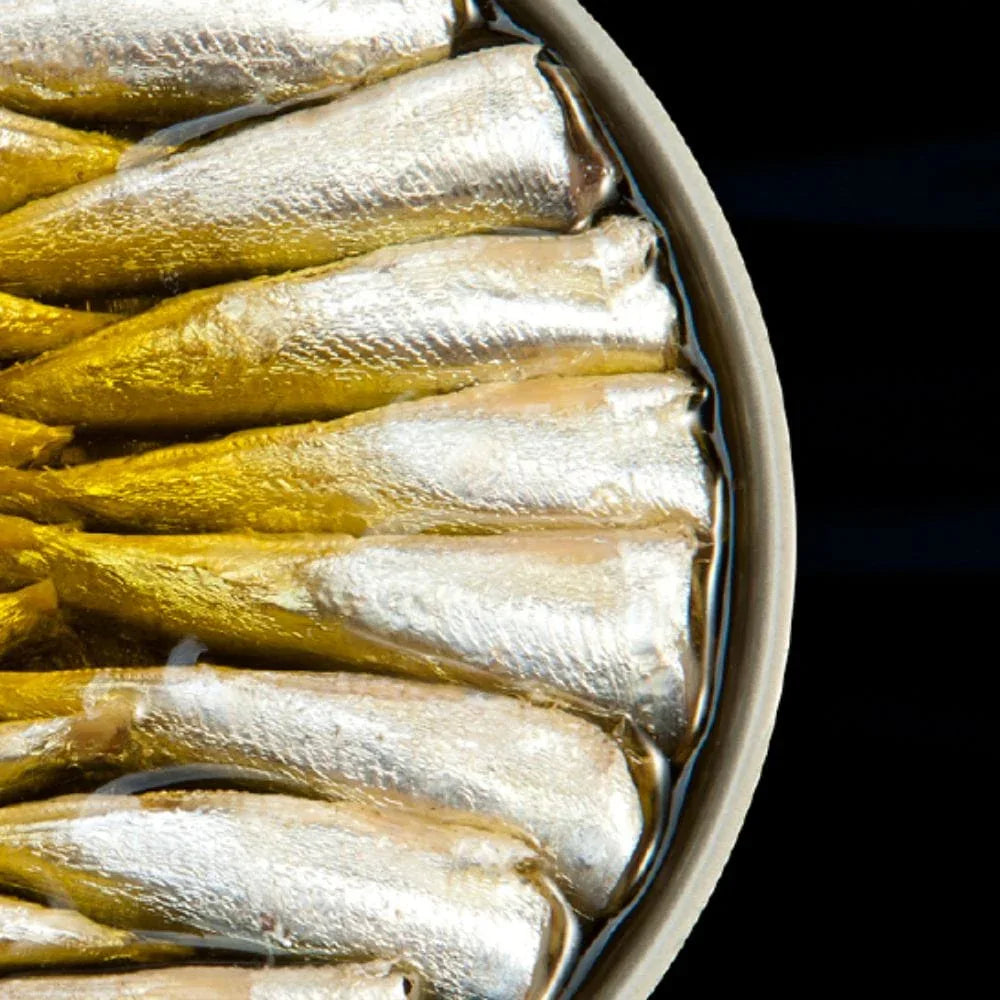 Sardinillas con Limón en Aceite de Oliva (Kleine Sardinen mit Zitrone)