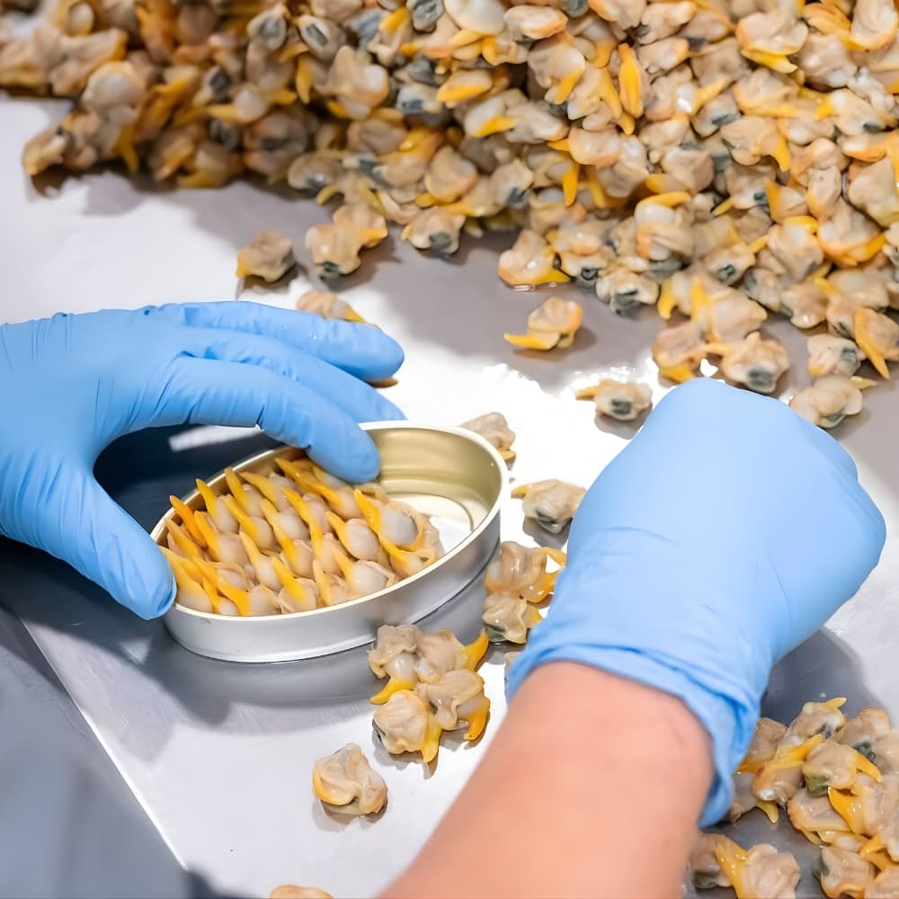 Berberechos al Natural de las Rías Gallegas (Galicische Herzmuscheln im eigenen Saft)