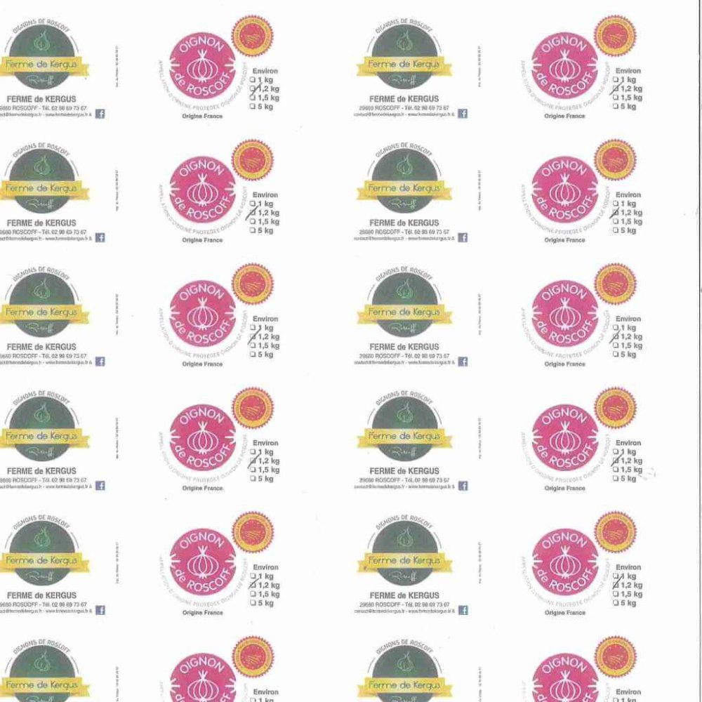 Rosa Zwiebel aus Roscoff Ernte 2023 - Ferme de Kergus