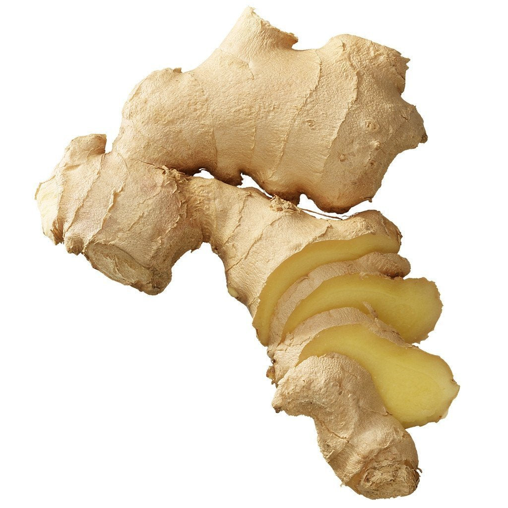 Thunfischfilets in Olivenöl mit Ingwer von den Azoren - Santa Catarina -  sardine.shop